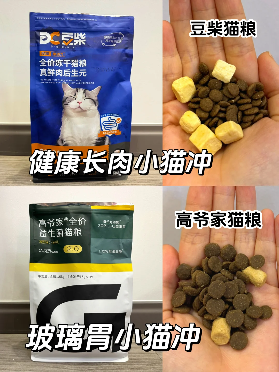 选粮！在豆柴猫粮和高爷家猫粮之间反复横跳