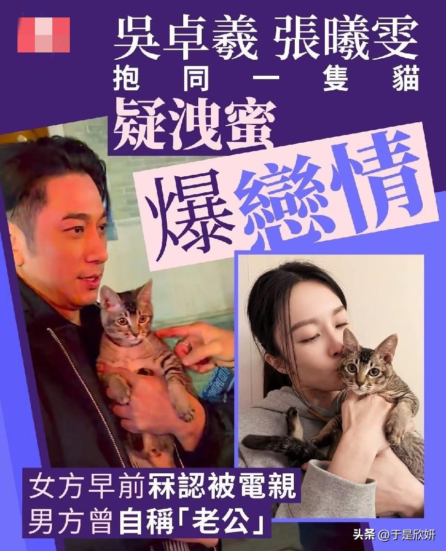 同一只猫泄蜜！吴卓羲张曦雯惊爆恋情，早前暧昧互动早藏线索
 
近日港媒爆出重磅绯