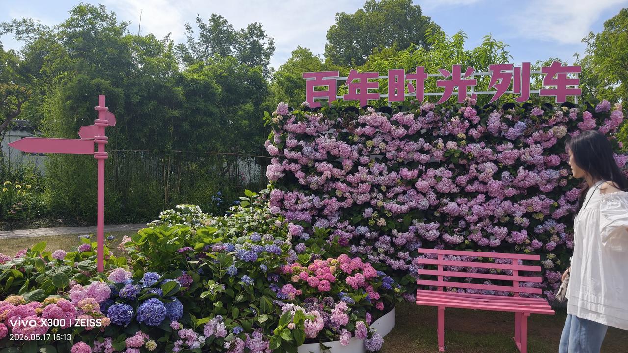 无锡旅游风景图片最近蠡园很值得大家去打卡，那里有80多个品种的绣球花，还有园区用