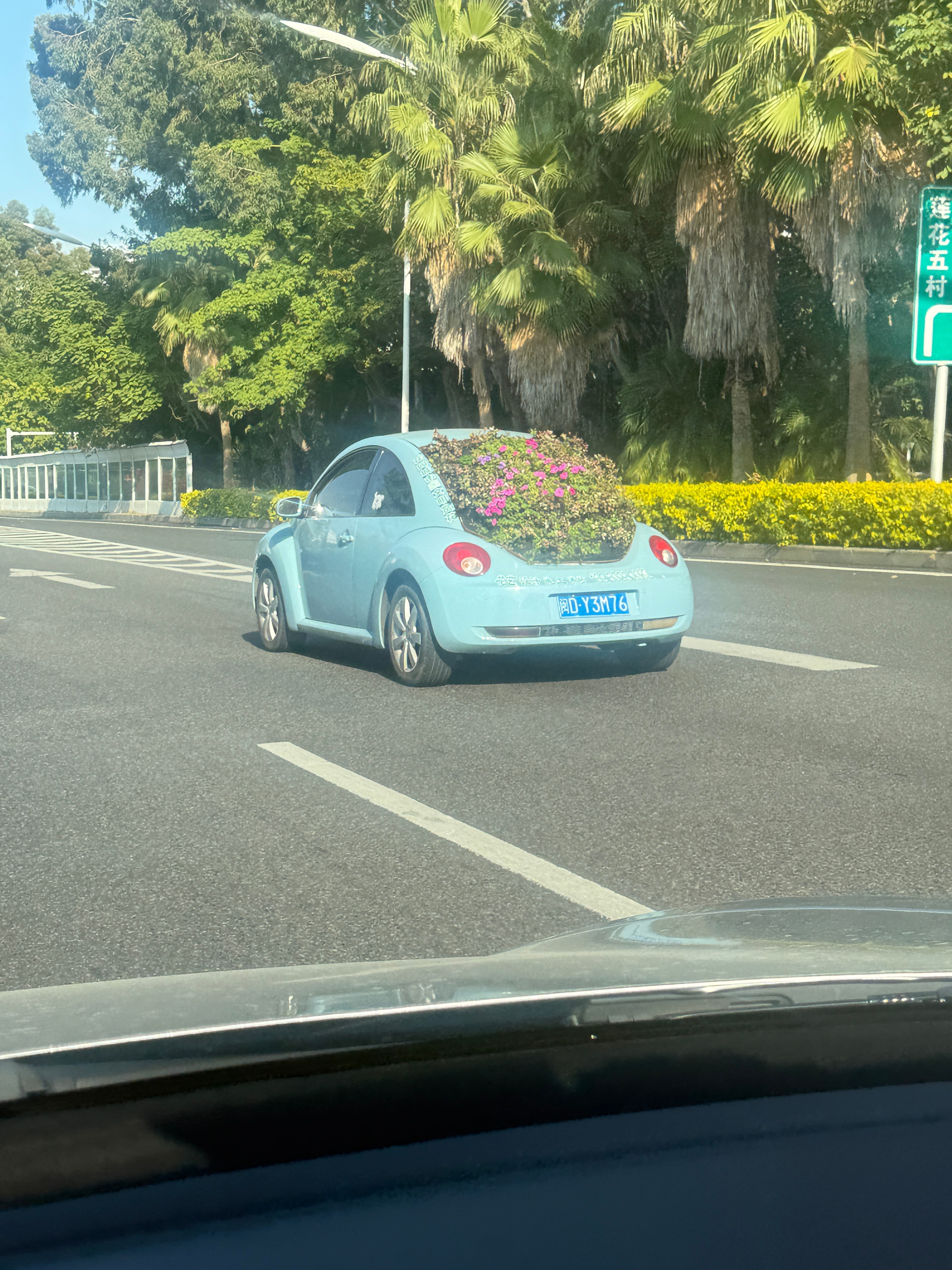 长出草了？ 厦门