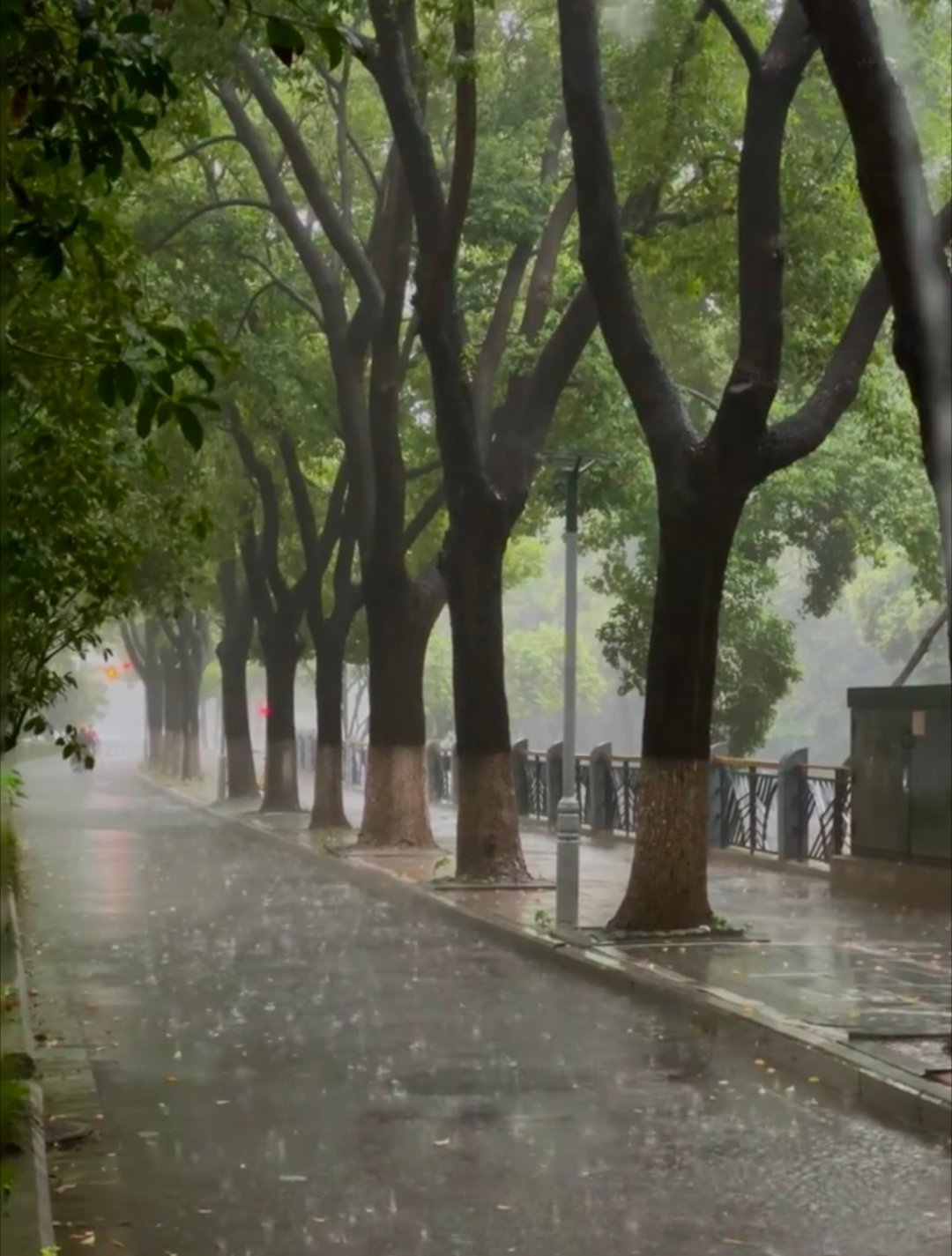 淅淅沥沥的雨裹住周三清晨，空气清润微凉，路面晕开一层朦胧水汽。不必被阴雨打乱节奏