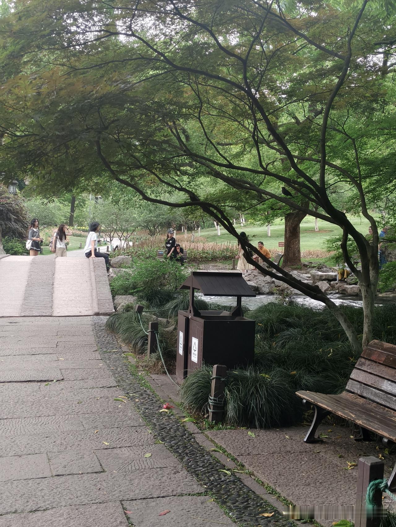 杭州太子湾公园美景