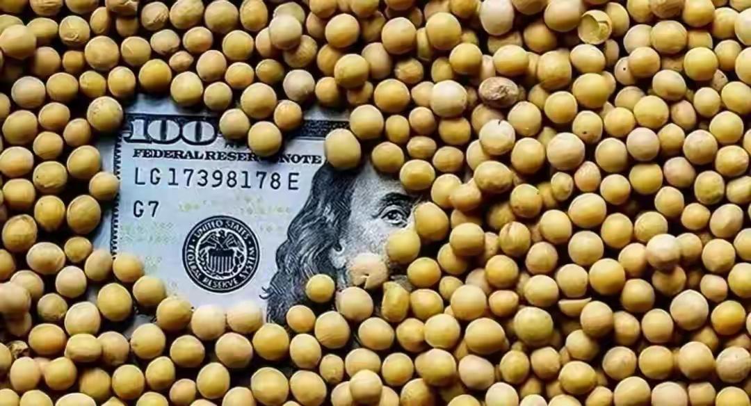 巴西大豆价格暴涨79.9%,中国买家按下暂停键,明年这笔钱还花这吗?

巴西大豆