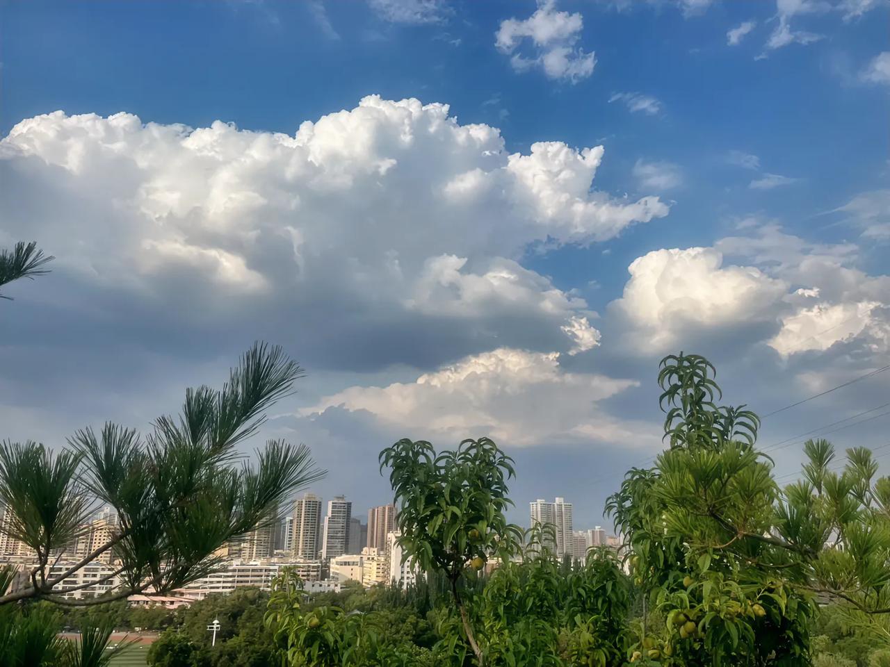 今天开心的事，就是晒太阳。

一连二十多天的阴雨天气，让人心情低沉。

坐在太阳