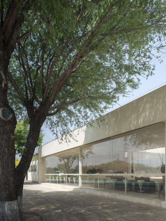 山下有松 🌳 清幽自在 东方合院