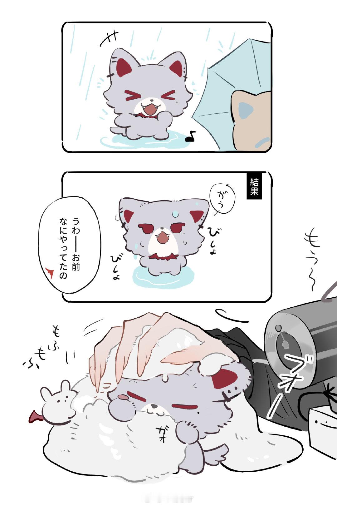 狗 