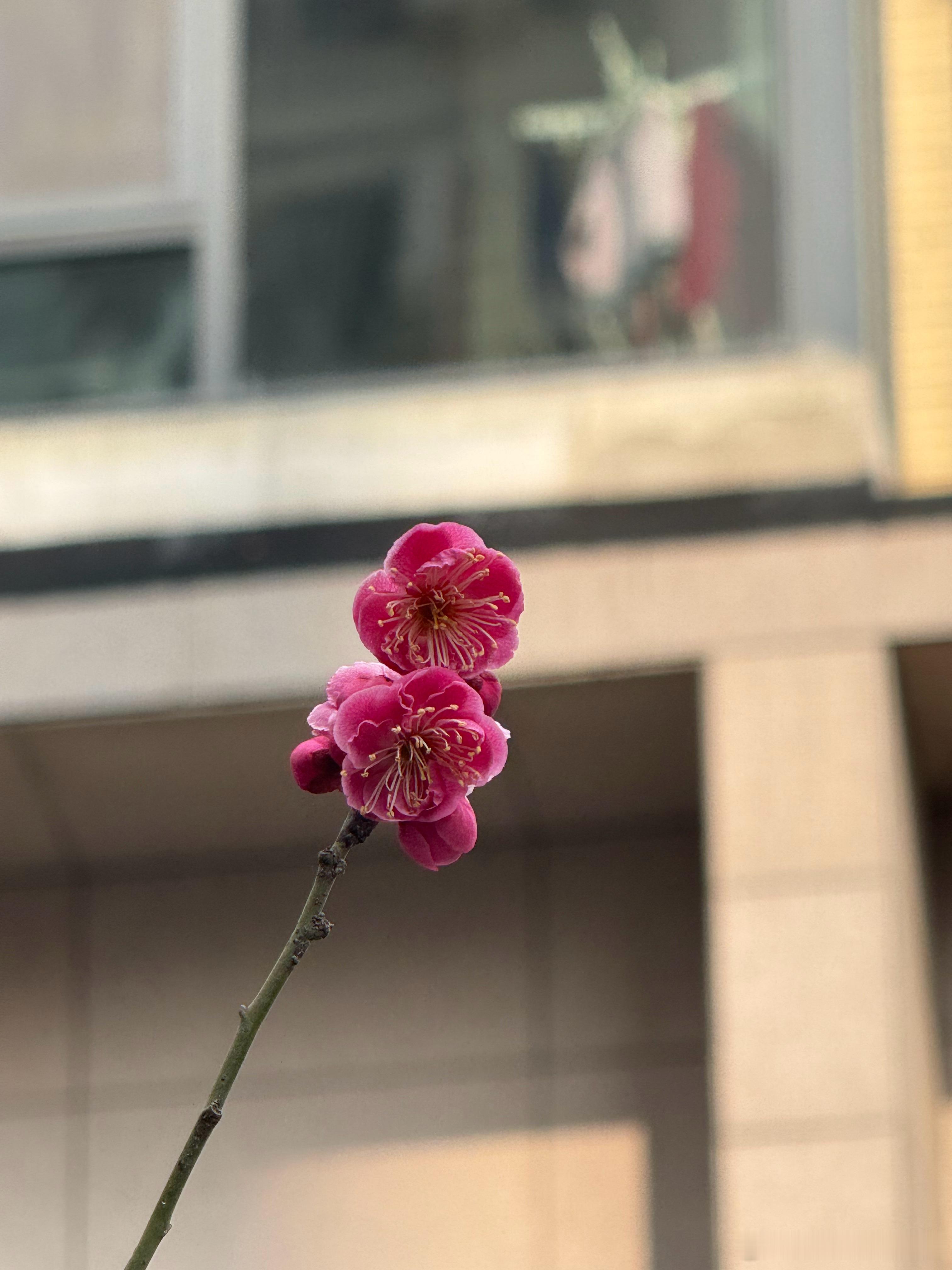 读书  “没有实力，就不要对别人好，别等天真输给了现实，你才知道自己有多傻。” 