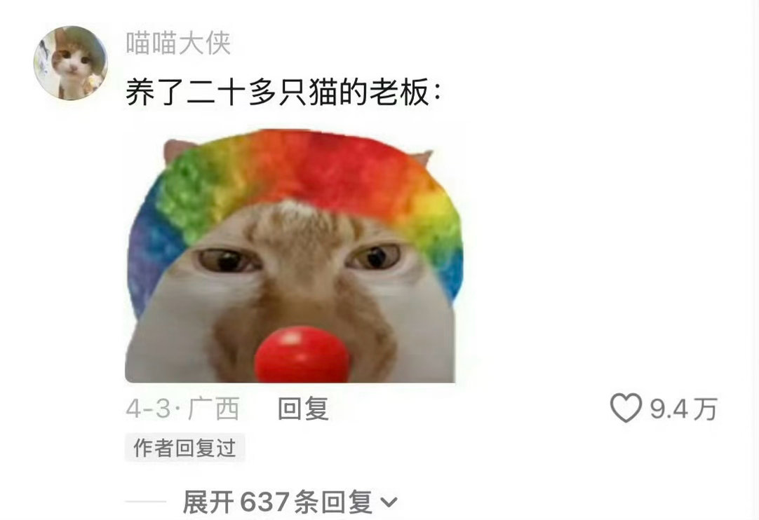 猫：再乱讲我可要生气了，我这是幸福肥，不是怀孕肥！哈哈哈哈哈谁家猫怀孕都怀到脖子