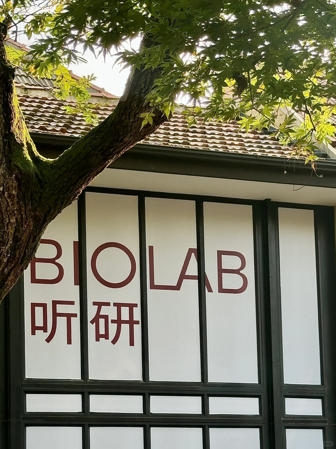 又上新围挡～听研终于要开线下首店啦🧼