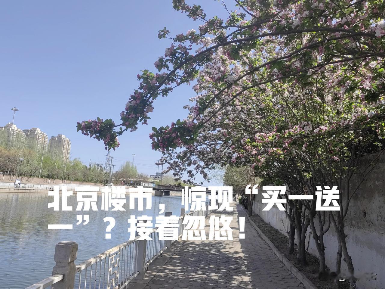 北京楼市，惊现“买一送一”？你没看错，确实是有这么回事。

就在通州，一个楼盘推