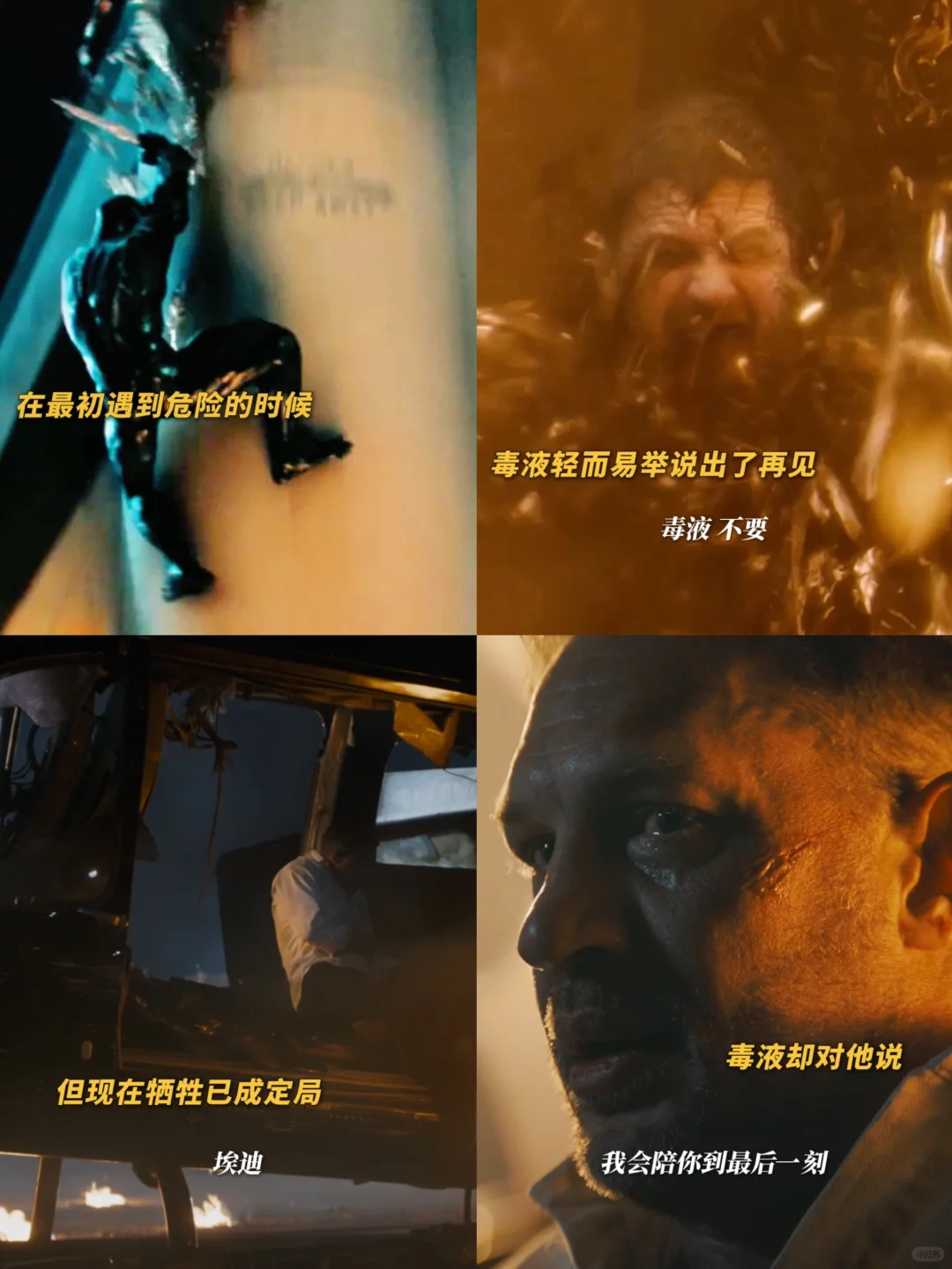 天呐谁懂😭毒埃CP真的好磕到让人难以戎断‼️