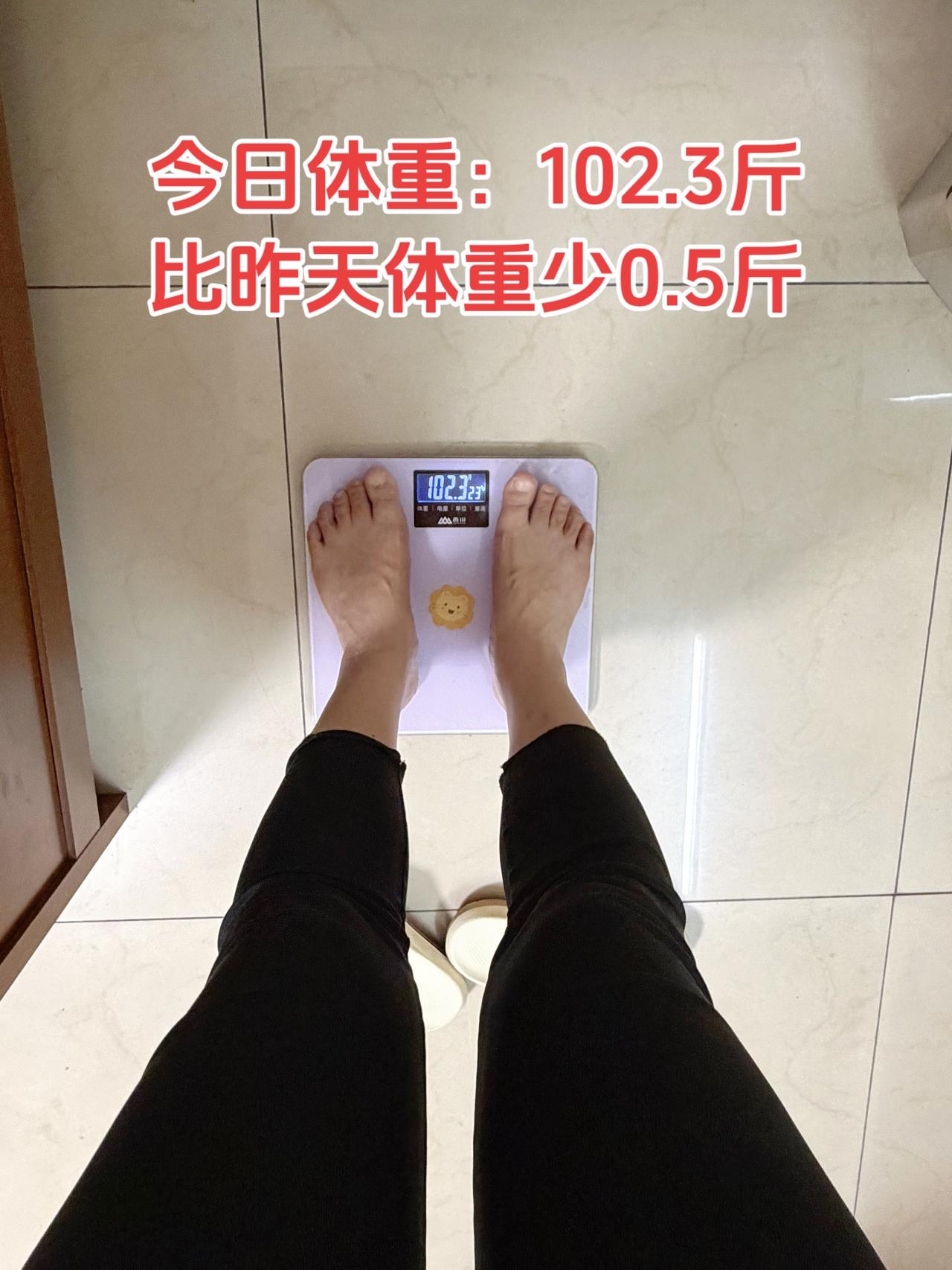 自律减脂健康餐，目标95斤，加油
今日减脂早餐：玉米馒头三明治+牛奶