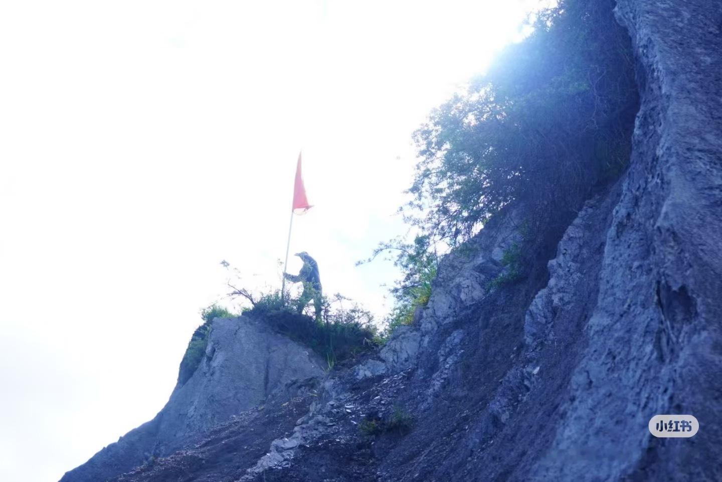 不小心把朋友拍成了穿山甲不行了我要笑死了，谁来了都是穿山甲本甲，我还是比较相信我