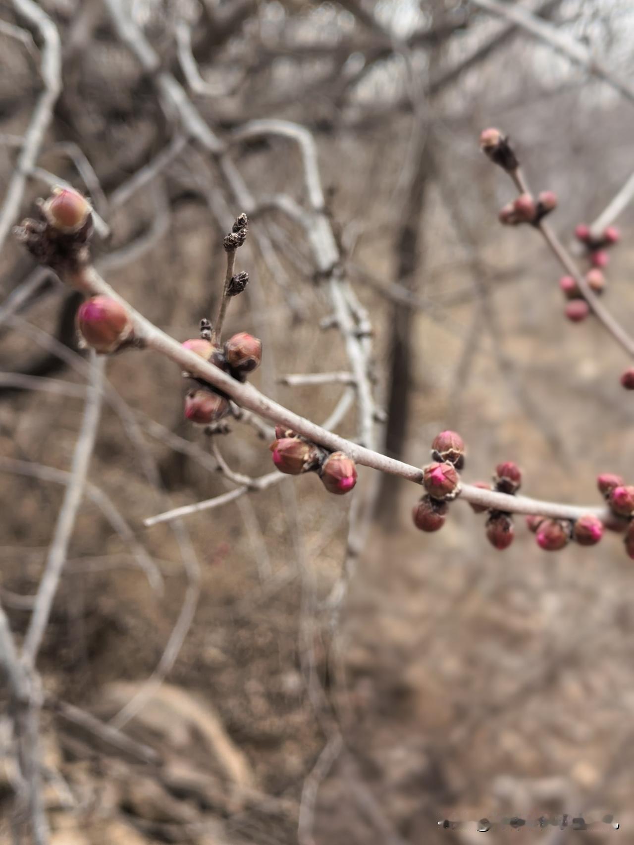 大寨村免费爬山？雾岚山免费爬山？是的，你没听错，抖音博主都在说的这两个地方都是免