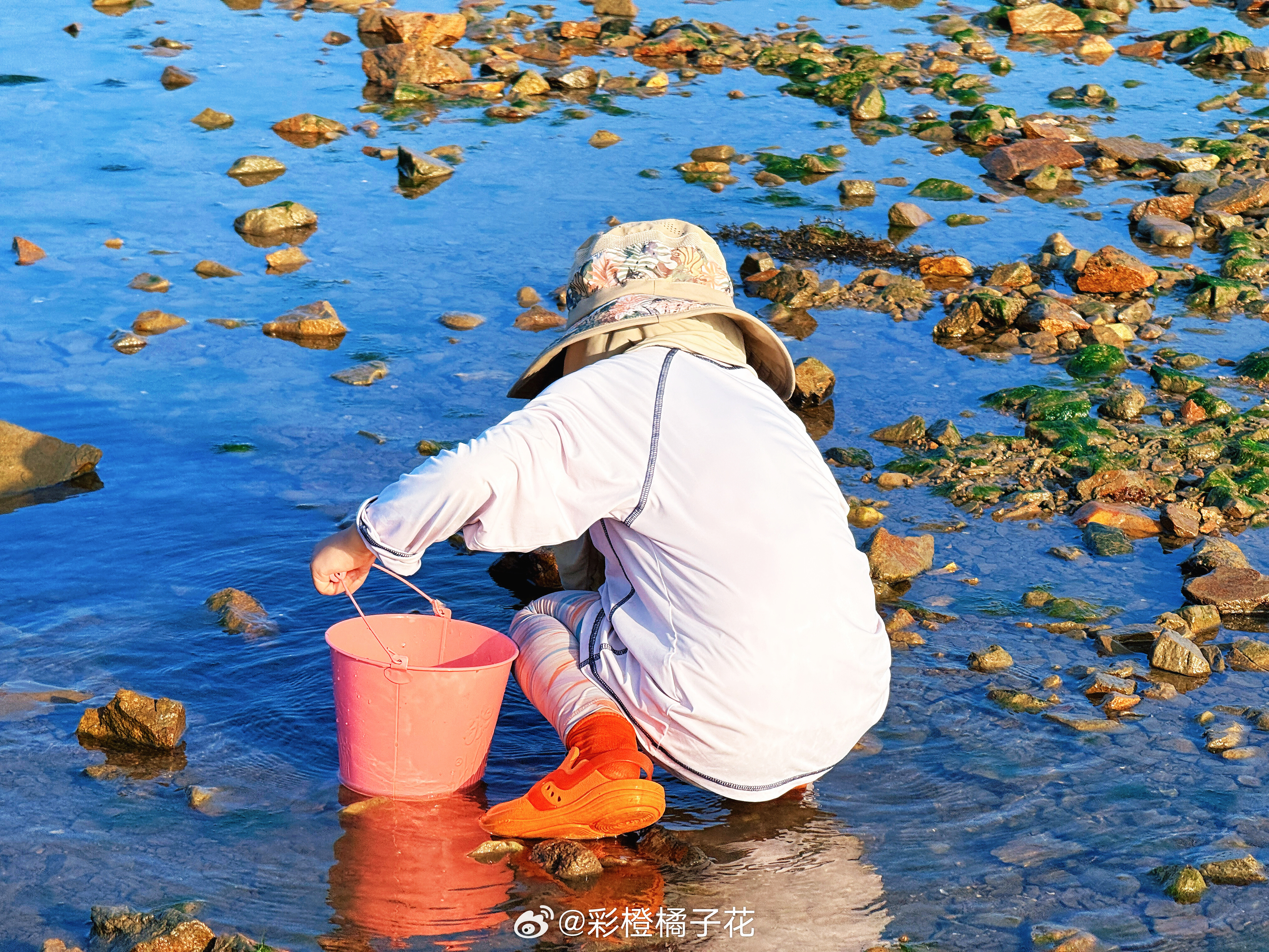游客照 