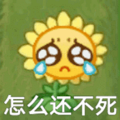 恨严浩翔的 