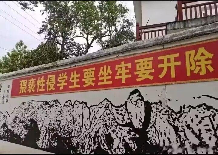 “猥亵性侵学生要坐牢要开除”！这个标语，建议刷到每个学校的墙上，这样才能做到警钟