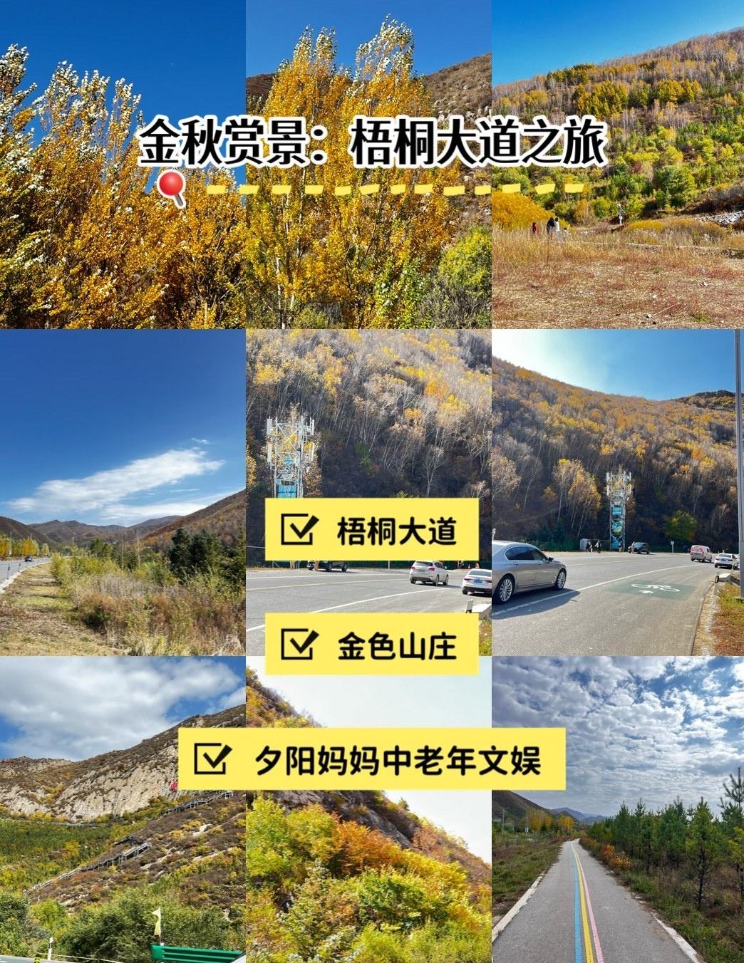 北京的金秋是最美的季节，这么好的天气怎么能不去欣赏大自然的美景呢！我们开车来到了