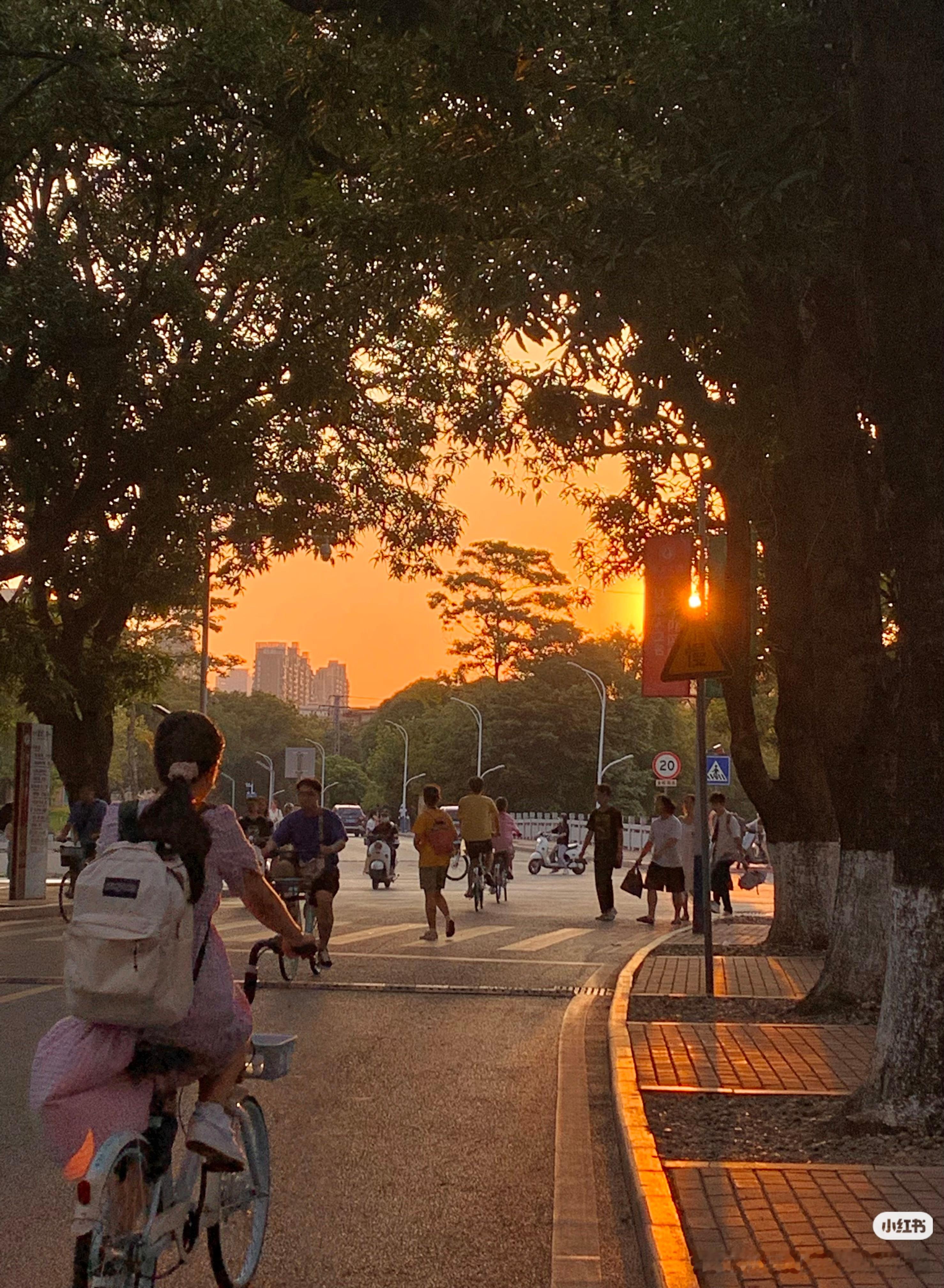 随手拍的照片帮我赚一年生活费生活里的美好，根本不用特意去找。随手拿起手机拍一张，