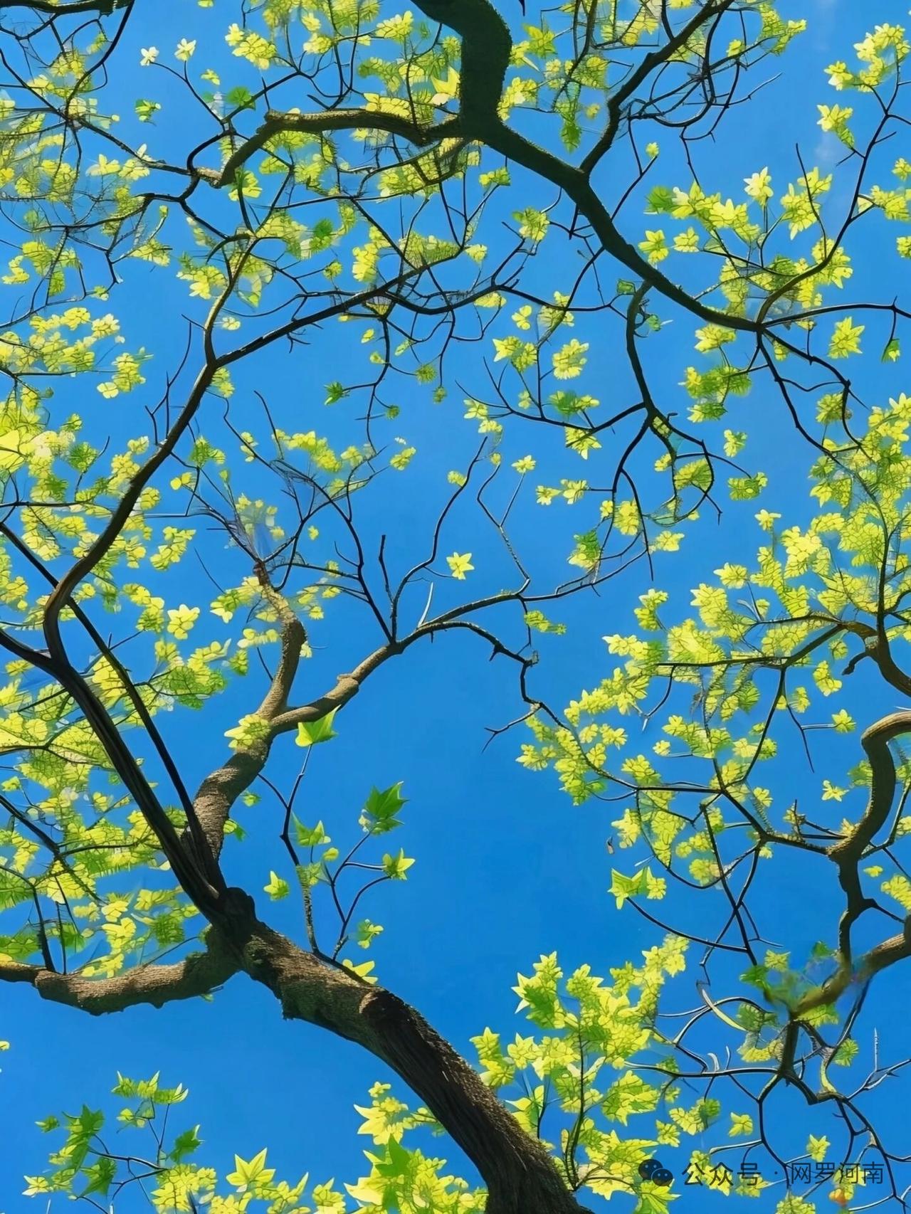 4月下旬的天蝎女
真正到了涅槃重生的时候了
最黑暗忙碌的日子已经过去
余下的日子