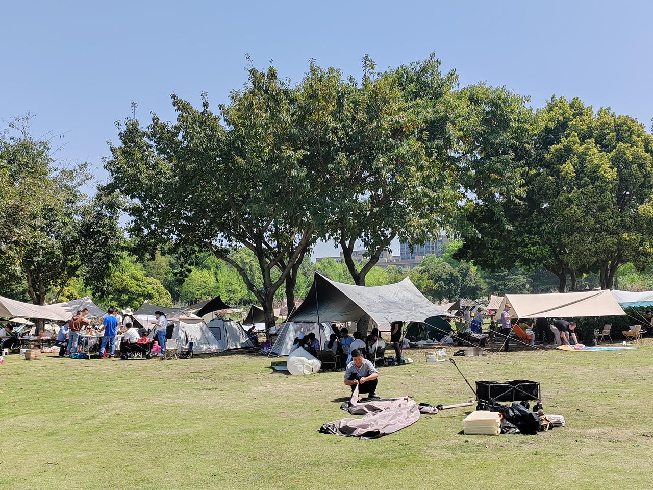 阳光明媚的春日，绿树成荫，帐篷林立，尽情享受户外时光！🌞🌳💃