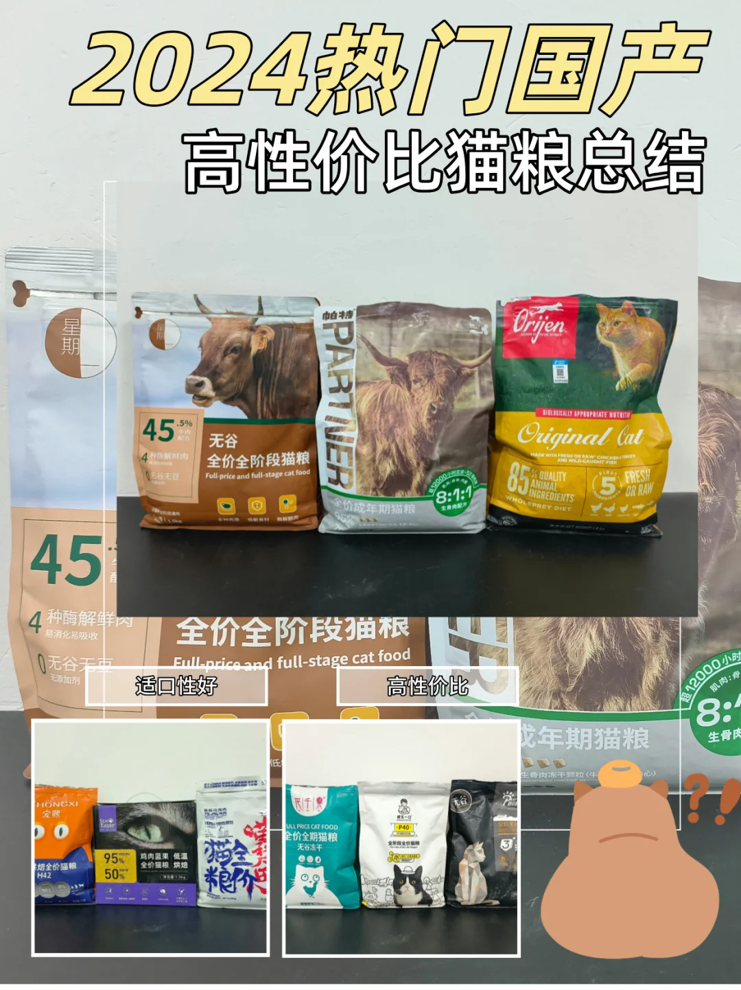 喂饭式总结！2024热门国产物有所值猫粮总结