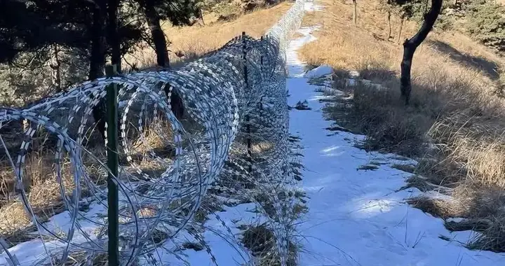 135公里刺网围泰山，防了“逃票”丢了人心 | 实习生选拔赛