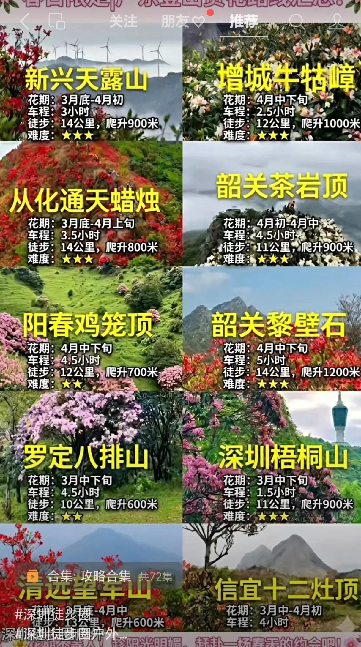 广东省赏花路线来啦，错过就要再等一年啦！