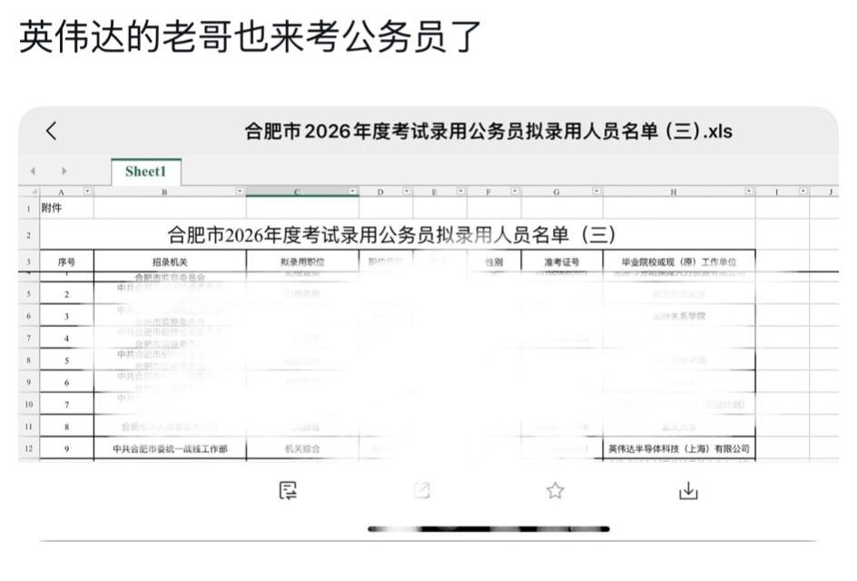 英伟达工程师考公上岸合肥，这条公示名单戳中无数打工人。
 
合肥市2026公务员