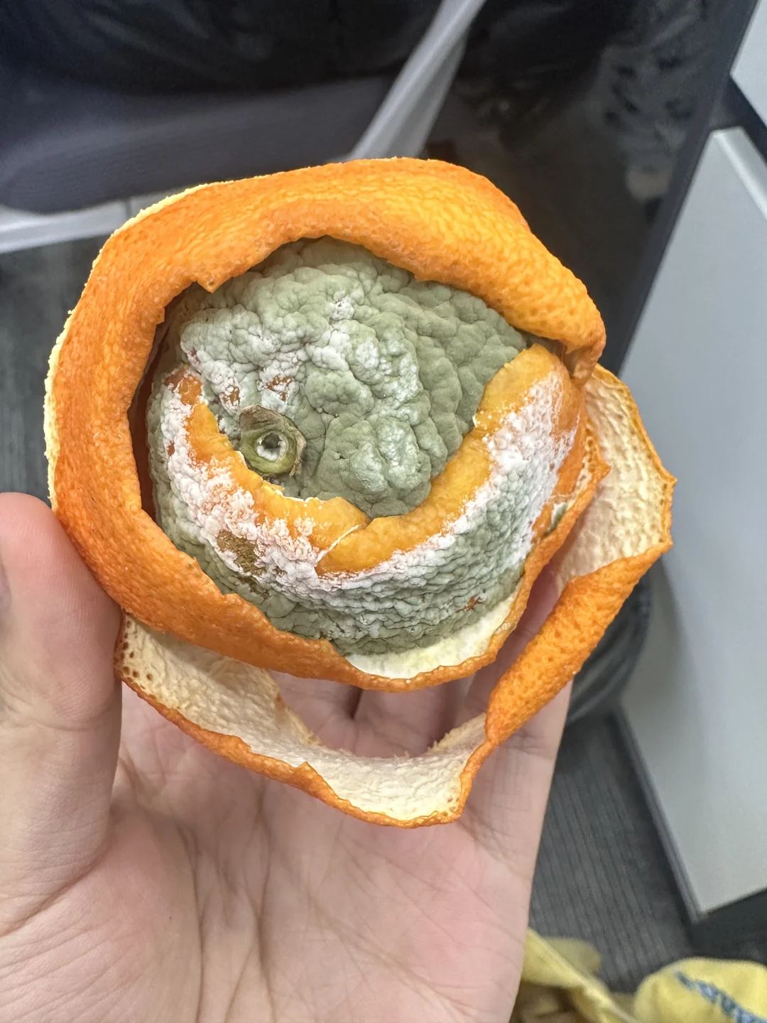 谁要！白送