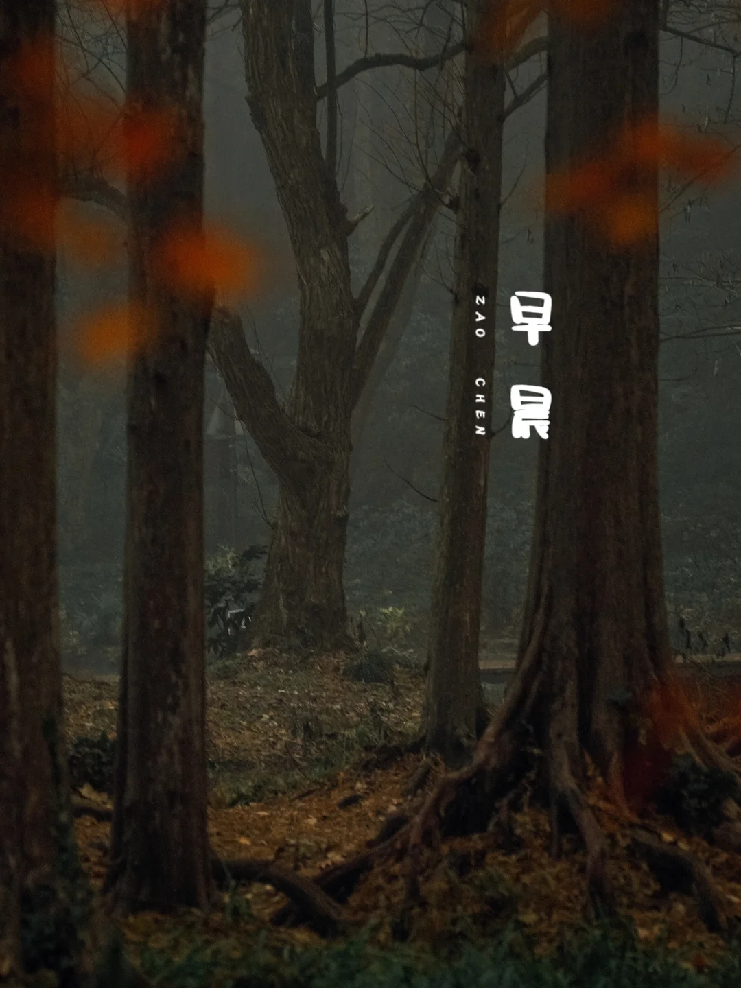 早安 陌生人🌈