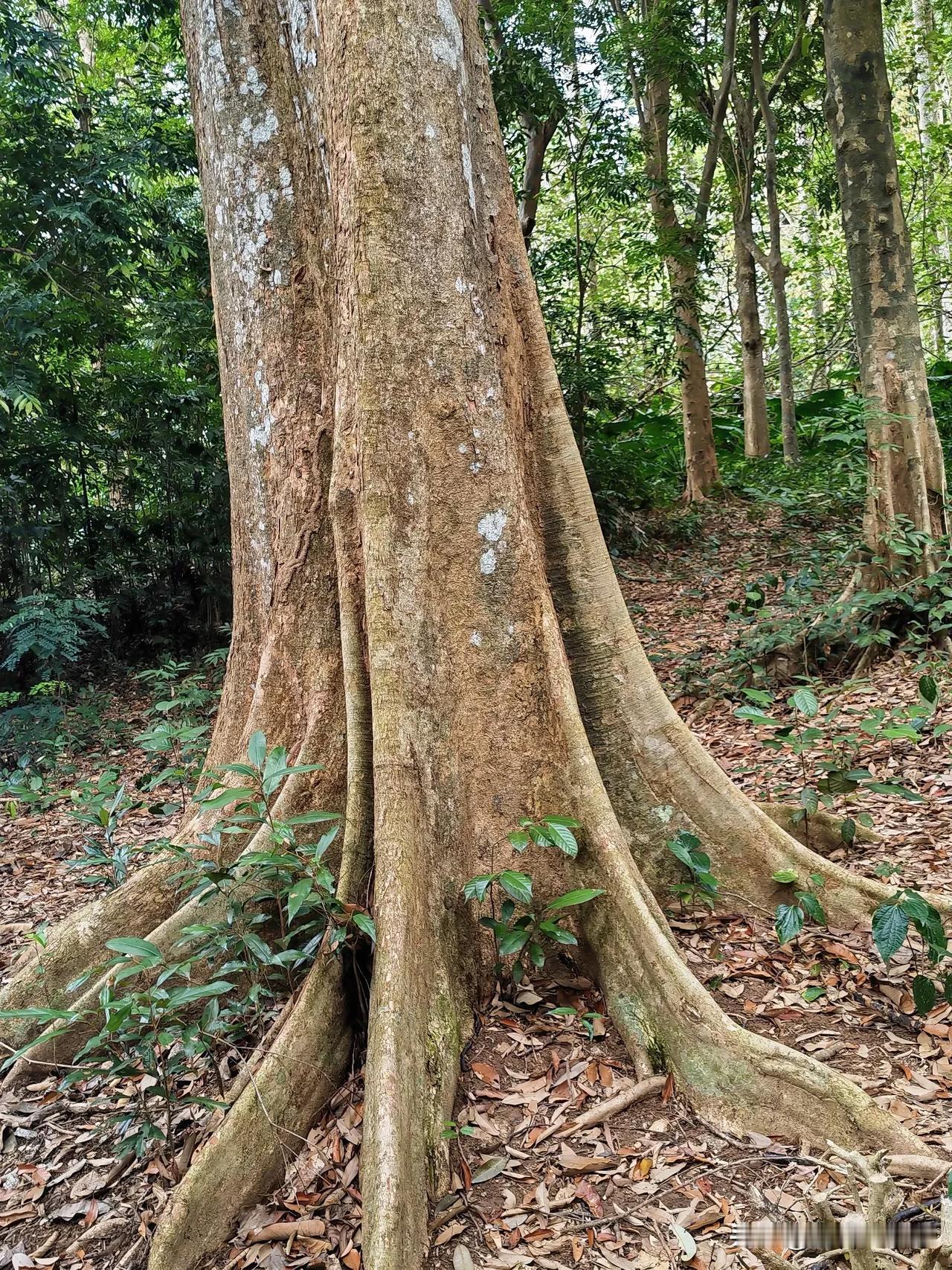 现在孩子的学校教育和家庭教育更应该并驾齐驱！重点是孩子的心理素质、道德观念、为人