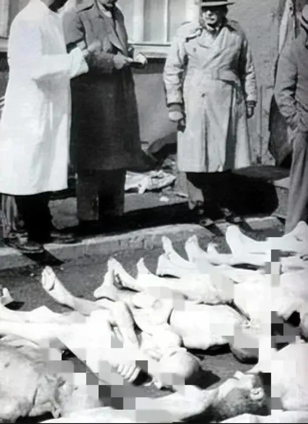 1945年，奥斯维辛集中营被解放时，留下的一张老照片，盟军发现这些尸体被随意地扔