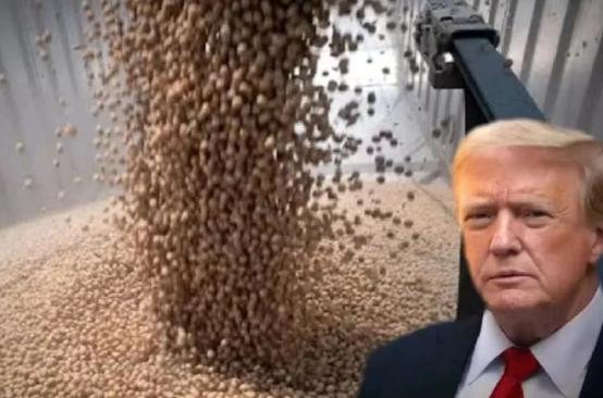 中国买了那么多美国大豆，也开放了对美稀土供应，可得到的结果却是美国“台湾保证实施