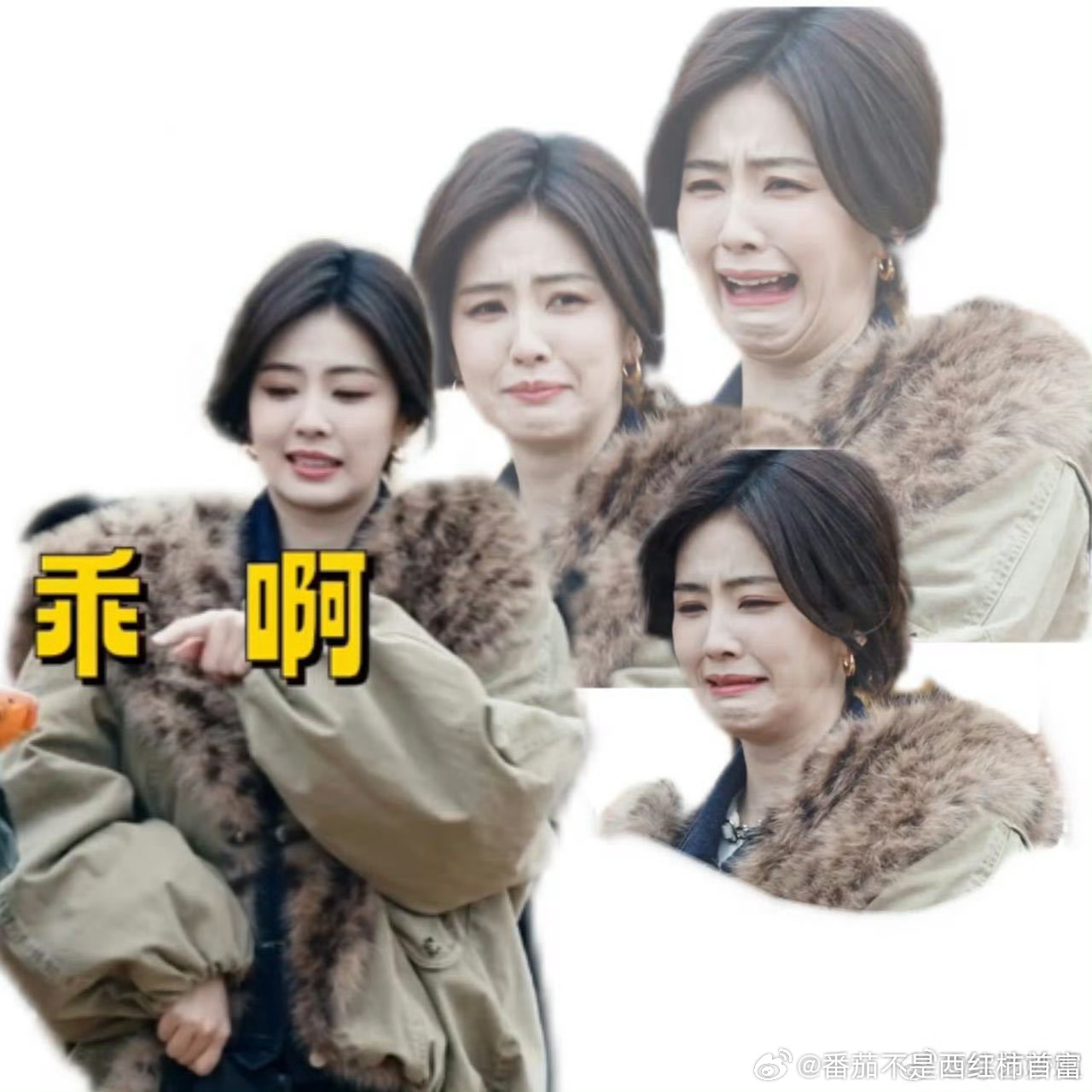 白鹿这期太好笑了，贡献了好多名场面，和于洋互动好像叔叔和侄女白鹿急到把衣服都脱了