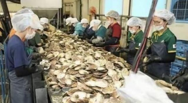 日本排放核水后，奇怪的事发生了：刚开始各国对海鲜避之不及，如今3年过去，核水已污