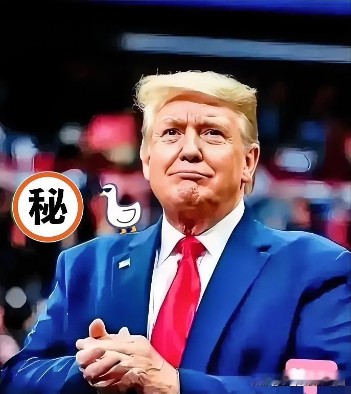 2026年元旦刚过，联合国秘书处突然收到一笔二十亿美元的转账，付款方是那家欠了两