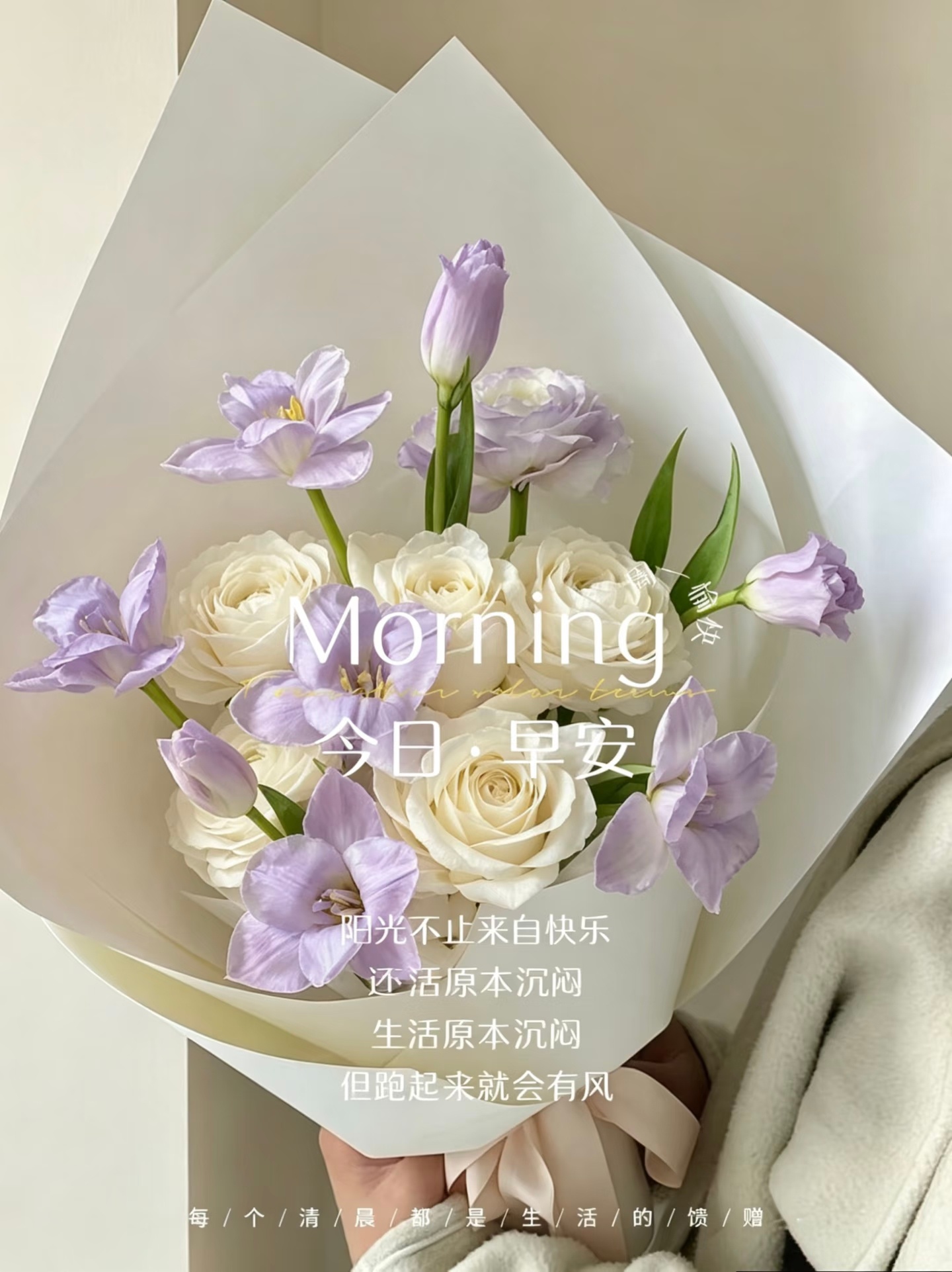 早安🌷心怀温柔，静待美好，日子清净，笑容坦荡，早安