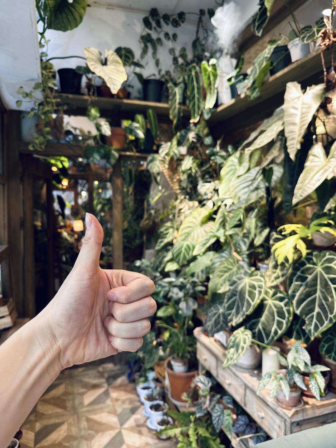 成都户外能量场👍这里吸满🈵自然的力量