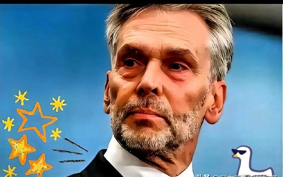 果然没想到
2025年11月23日，闻泰科技发了个声明，直接说了安世荷兰的事，矛