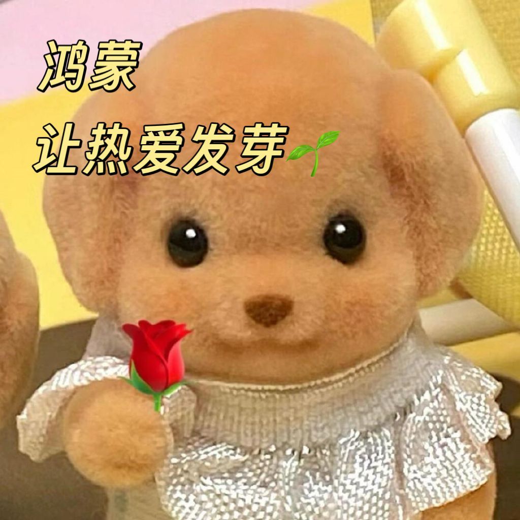 致敬每一位鸿蒙追光人看了鸿蒙星光盛典，真的有被狠狠戳到！这里不仅有代码，更有滚烫