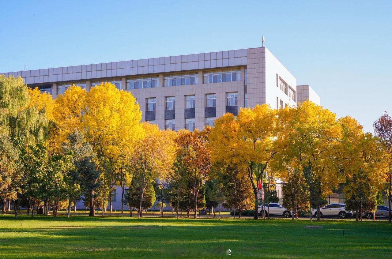 | 北方民族大学
拼凑出秋天的颜色🍂
