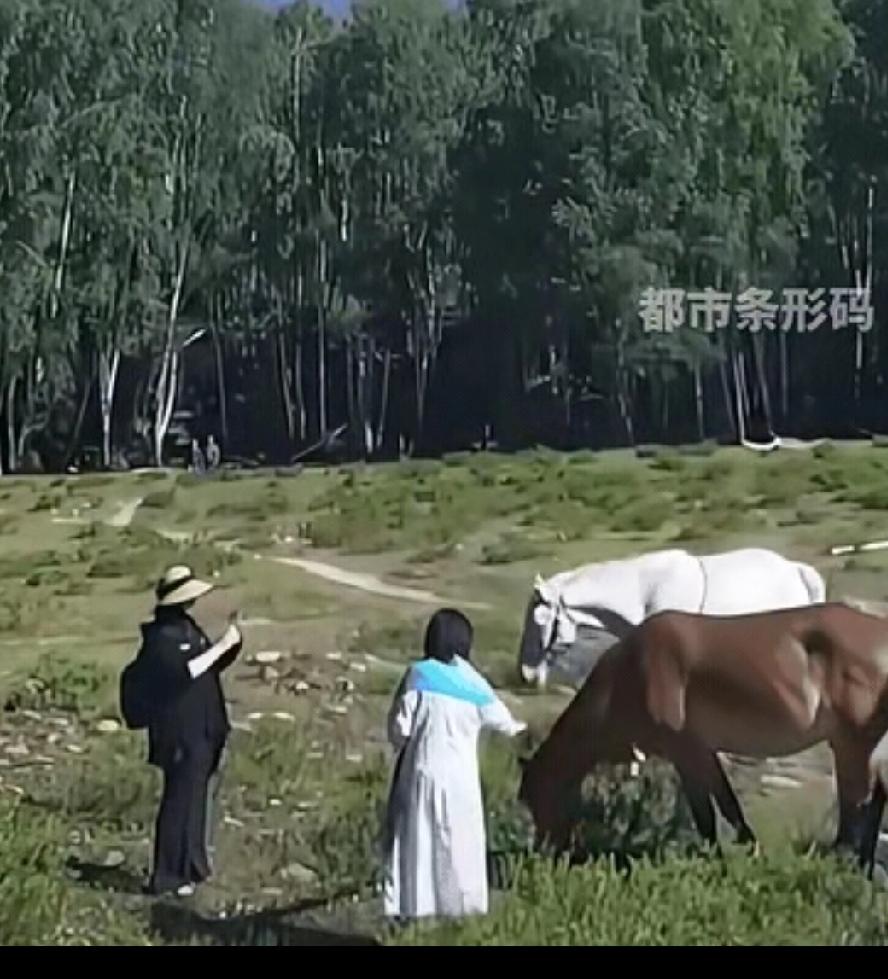 “不作死就不会死！”新疆阿勒泰，两个女游客不听劝，执意要摸马屁股，没想到，马转过