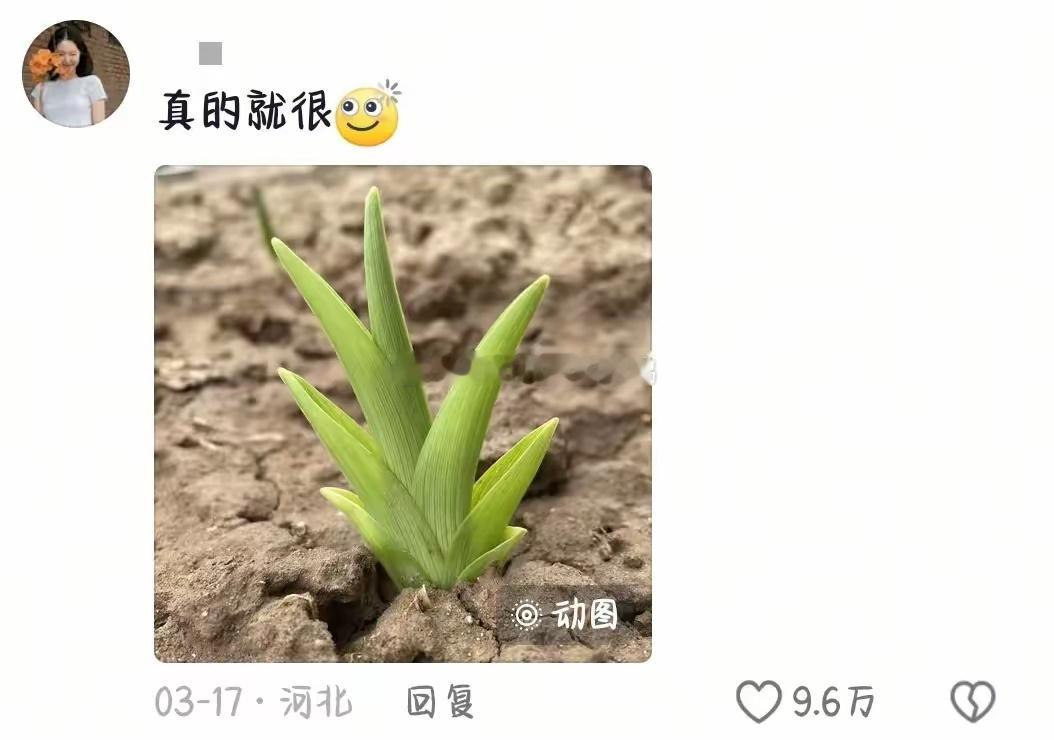 长得太标准是什么样的？[笑哈哈][笑哈哈] ​​​