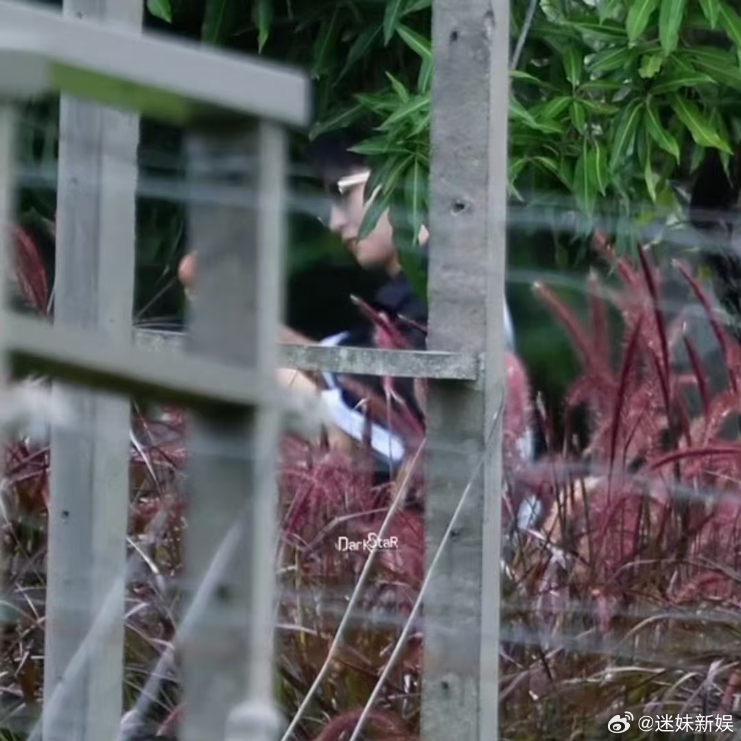 王俊凯环绕式欣赏鸡蛋王俊凯养的鸡下蛋了王俊凯养的鸡下蛋了，环绕式欣赏这枚🥚，厉