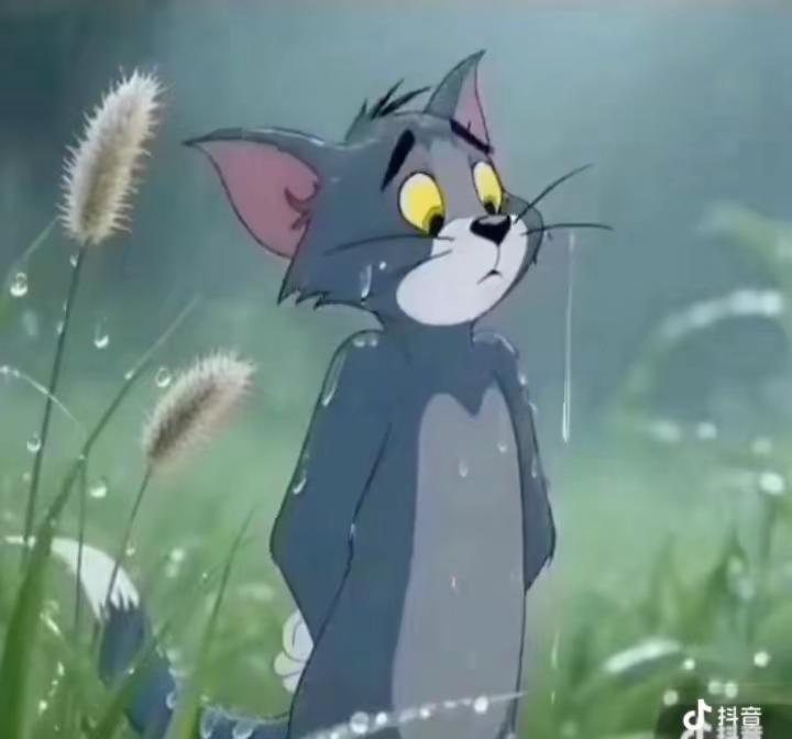 心里闷闷的不知道该说什么，一个人刷着，无法左右的事情太多了，何能言、何处言汤姆猫