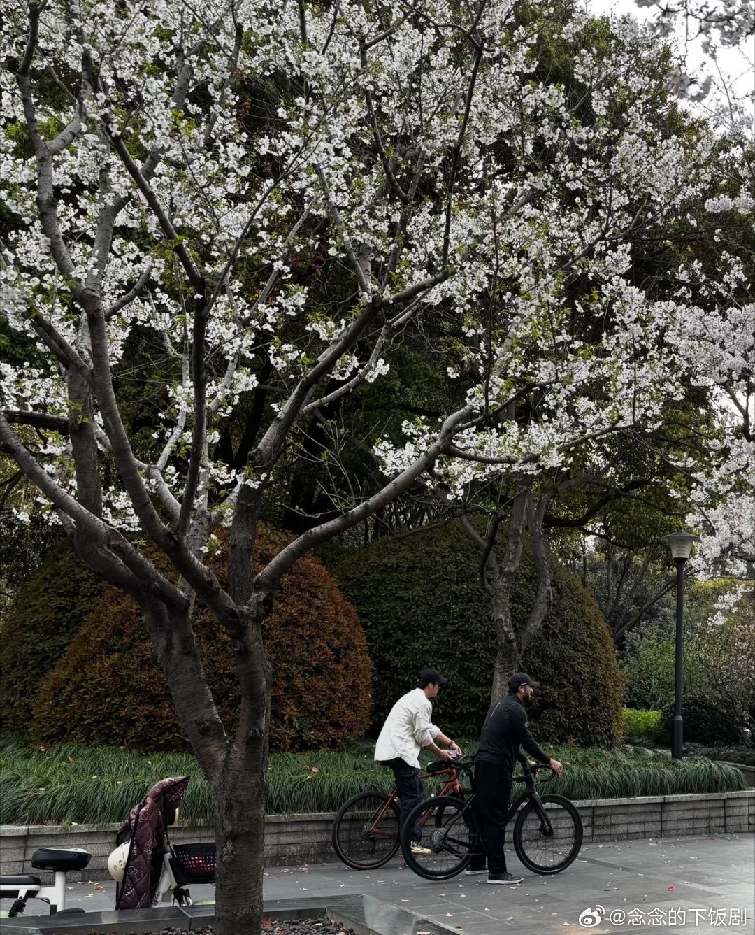 黄景瑜被我偶遇前不许出门了黄景瑜街头骑车又被偶遇了黄景瑜上海骑行被偶遇，穿搭清爽