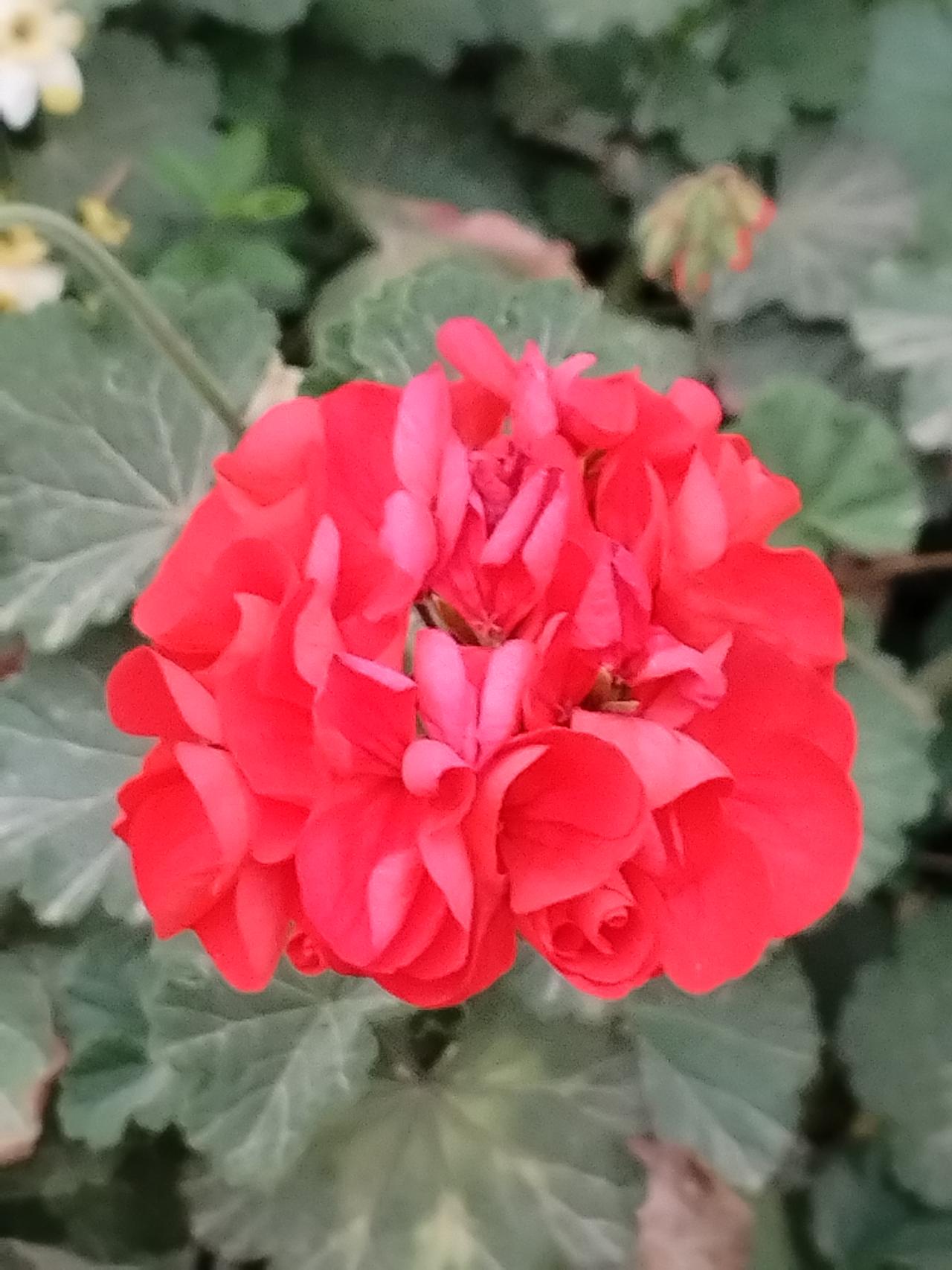 上联是“油盐酱醋伴日月”，这句描绘的是生活中最平常不过的调味品，象征着日常生活的