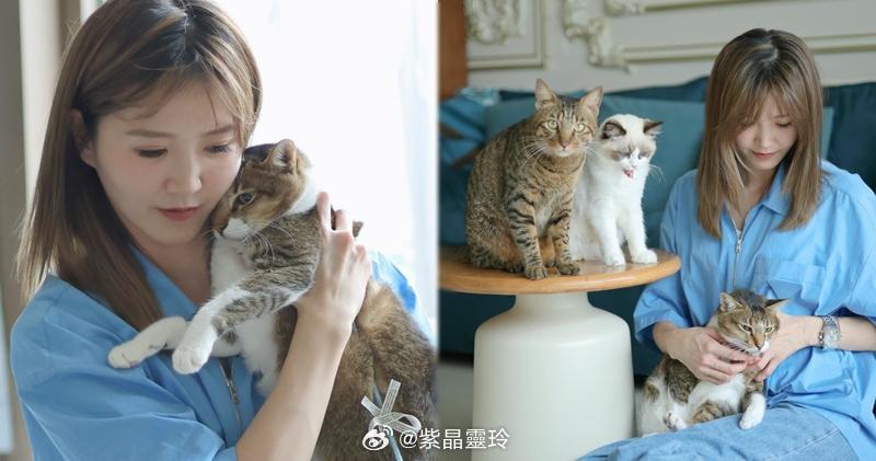 【明報即時】吳若希稱愛貓有先天性心臟病 最多剩1個月命：個心隱隱痛 Jinny轉