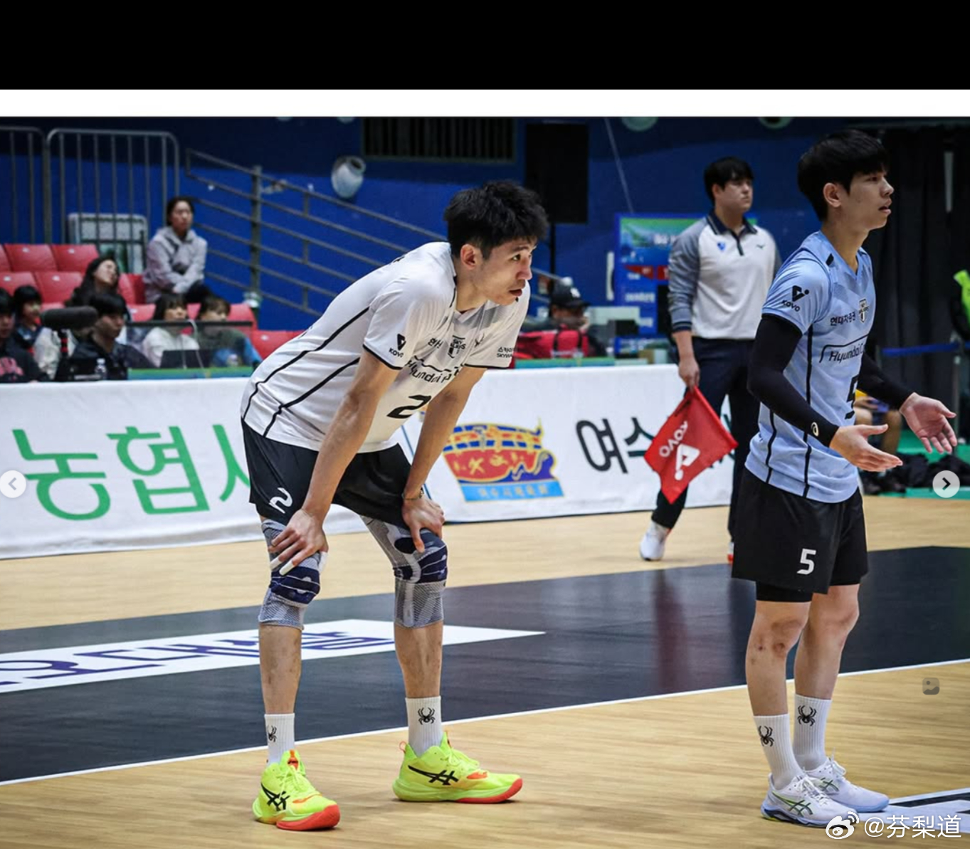 国际排坛动态江川江川在KOVO杯现代资本3-2击败OK储蓄银行的比赛中拿到全队最